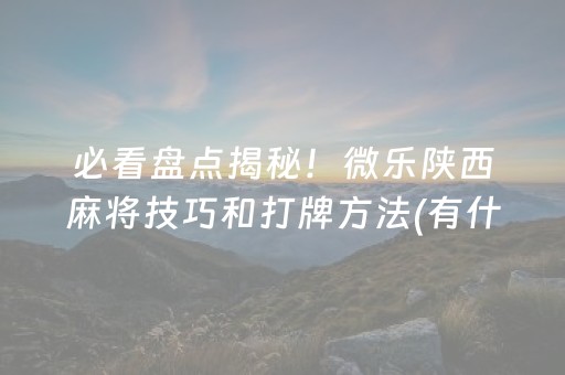必看盘点揭秘！微乐陕西麻将技巧和打牌方法(有什么能赢的方法)