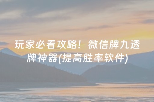 玩家必看攻略！微信牌九透牌神器(提高胜率软件)