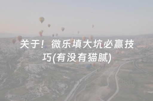 关于！微乐填大坑必赢技巧(有没有猫腻)