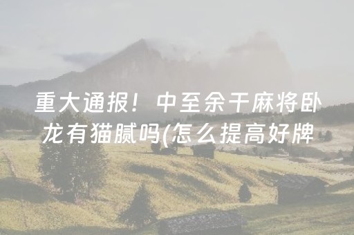 重大通报！中至余干麻将卧龙有猫腻吗(怎么提高好牌率)