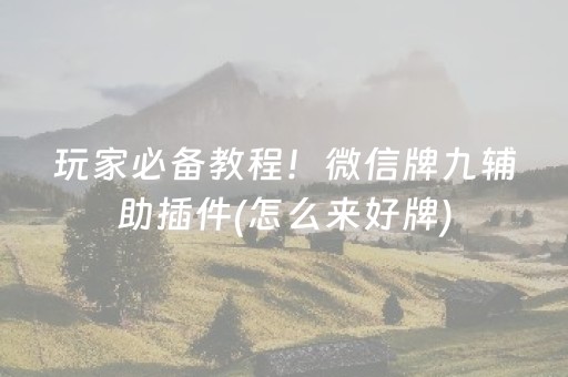 玩家必备教程！微信牌九辅助插件(怎么来好牌)