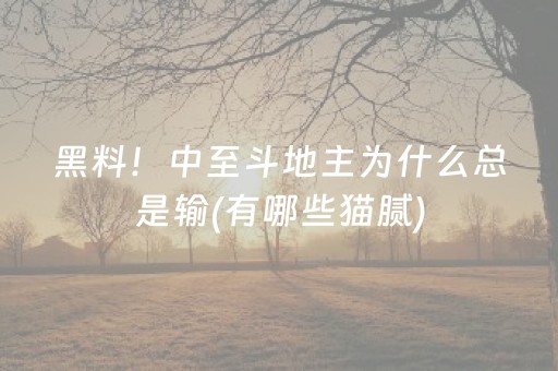 黑料！中至斗地主为什么总是输(有哪些猫腻)