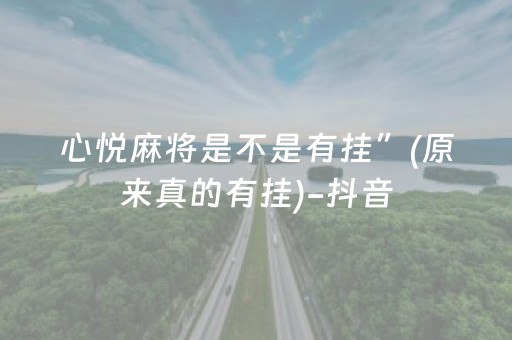 实测教程“微乐安徽麻将怎么提高胜率（专用辅牌神器免安装）