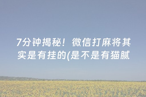 7分钟揭秘！微信打麻将其实是有挂的(是不是有猫腻)