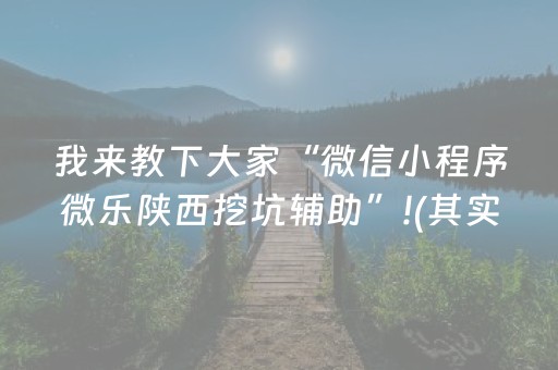 我来教下大家“微信小程序微乐陕西挖坑辅助”!(其实确实有挂)-抖音