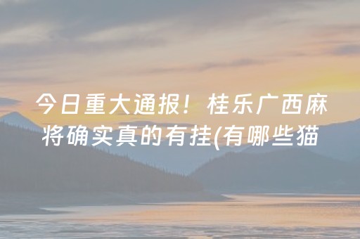 实测分享“微乐麻将外挂”（详细辅助教程）-哔哩哔哩