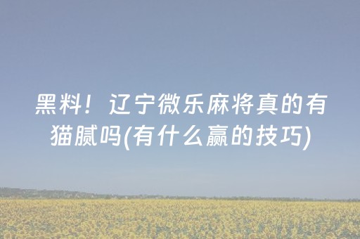 黑料！辽宁微乐麻将真的有猫腻吗(有什么赢的技巧)