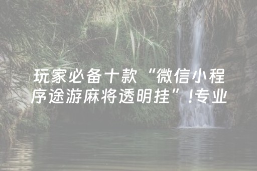 玩家必备十款“微信小程序途游麻将透明挂”!专业师傅带你一起了解（详细教程）-抖音