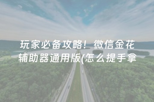 玩家必备攻略！微信金花辅助器通用版(怎么提手拿好牌)