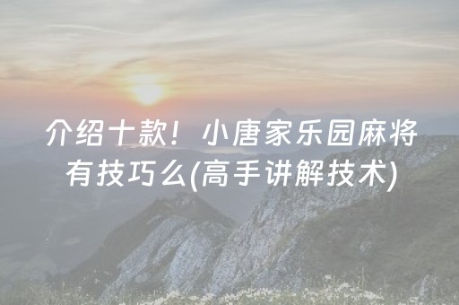 介绍十款！小唐家乐园麻将有技巧么(高手讲解技术)