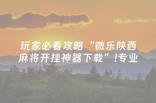 玩家必看攻略“微乐陕西麻将开挂神器下载”!专业师傅带你一起了解（详细教程）-抖音