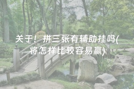 关于！拼三张有辅助挂吗(将怎样比较容易赢)