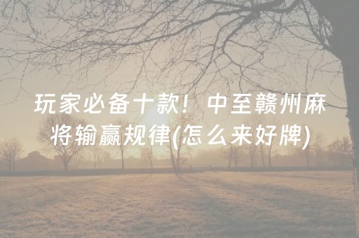 教程辅助“全自动麻将机免安装麻将机控牌器（助赢神器通用版）