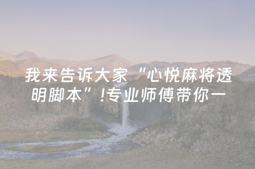 我来告诉大家“心悦麻将透明脚本”!专业师傅带你一起了解（详细教程）-抖音