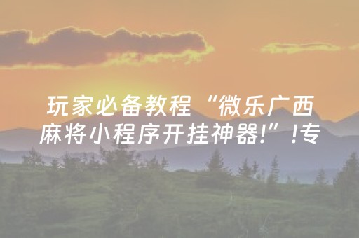 分享辅助“飞针麻将最忌三个东西”（详细透视教程）-哔哩哔哩