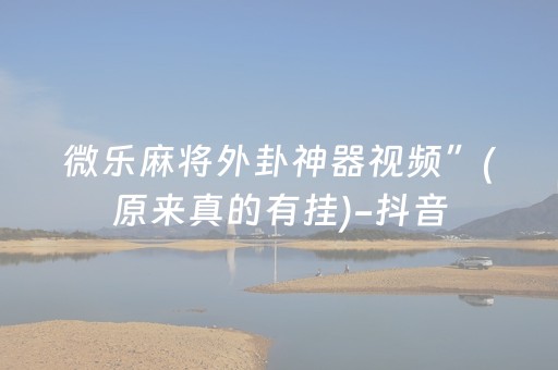 教程辅助“微乐麻将神器680元是真的吗”（详细透视教程）-哔哩哔哩