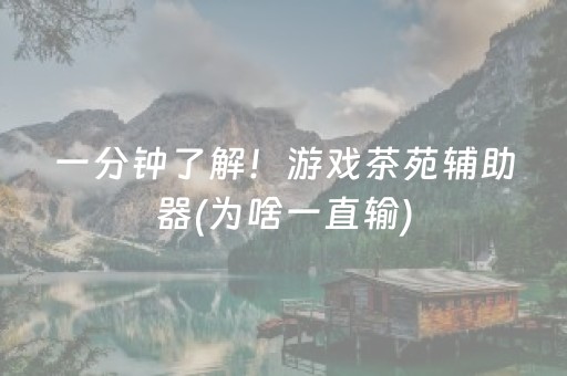 一分钟了解！游戏茶苑辅助器(为啥一直输)
