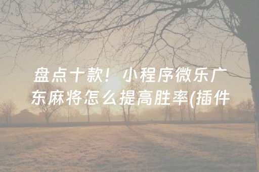 盘点十款！小程序微乐广东麻将怎么提高胜率(插件购买输赢规律)