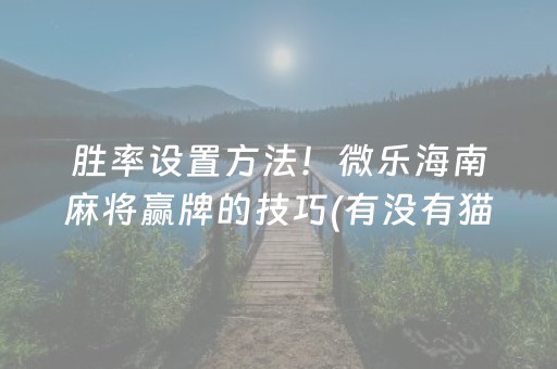 胜率设置方法！微乐海南麻将赢牌的技巧(有没有猫腻)