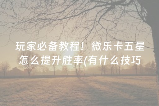 玩家必备教程！微乐卡五星怎么提升胜率(有什么技巧)