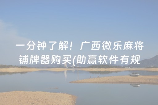 一分钟了解！广西微乐麻将铺牌器购买(助赢软件有规律吗)