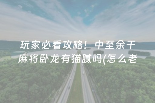 玩家必看攻略！中至余干麻将卧龙有猫腻吗(怎么老输必备神器)
