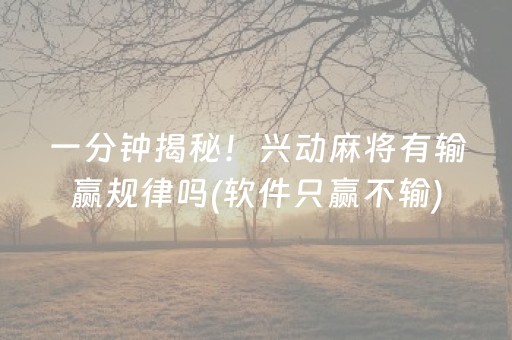 一分钟揭秘！兴动麻将有输赢规律吗(软件只赢不输)