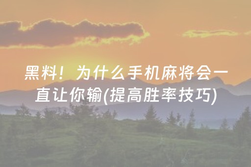必看教程！“微信小程序雀神辅助器”（详细透视教程）-哔哩哔哩