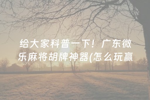 给大家科普一下！广东微乐麻将胡牌神器(怎么玩赢几率大)