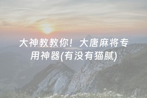 大神教教你！大唐麻将专用神器(有没有猫腻)