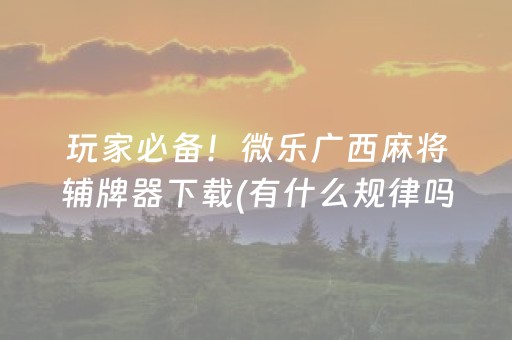 玩家必备！微乐广西麻将辅牌器下载(有什么规律吗)