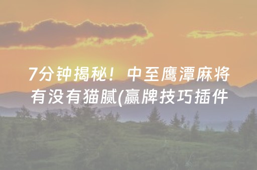 7分钟揭秘！中至鹰潭麻将有没有猫腻(赢牌技巧插件安装)