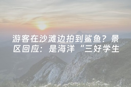 实测辅助“麻将机最新黑科技产品”（详细透视教程）-哔哩哔哩