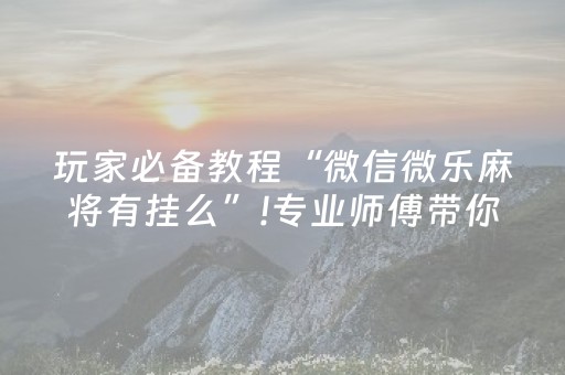 玩家必备教程“微信微乐麻将有挂么”!专业师傅带你一起了解（详细教程）-抖音