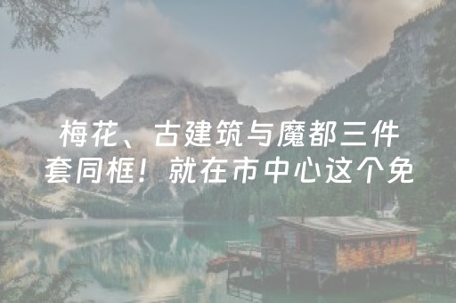 教程辅助“微乐江苏麻将有挂吗”（详细透视教程）-哔哩哔哩