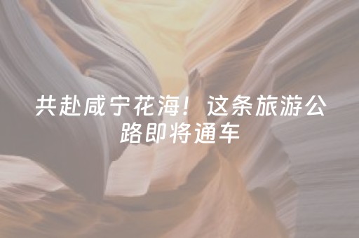 实测分享“QQ红包埋雷11包控制尾数开挂软件”（详细透视教程）-哔哩哔哩