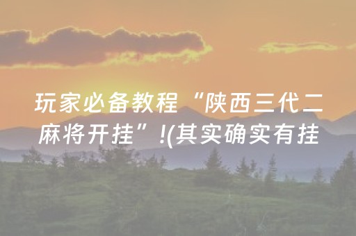 玩家必备教程“陕西三代二麻将开挂”!(其实确实有挂)-抖音