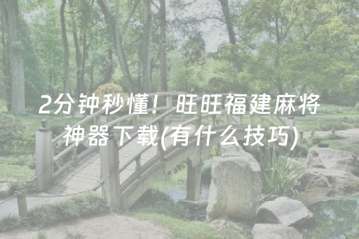 2分钟秒懂！旺旺福建麻将神器下载(有什么技巧)