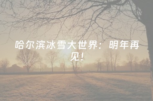 新版本“10元10包尾数0到9之间那个数出的几率最大”（详细透视教程）-哔哩哔哩