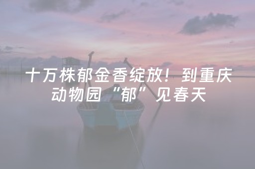 玩家必看教程！“小程序麻将控牌”（详细透视教程）-哔哩哔哩