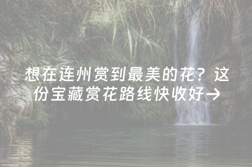 实测分享“微乐四川麻将助赢神器购买”（详细透视教程）-哔哩哔哩