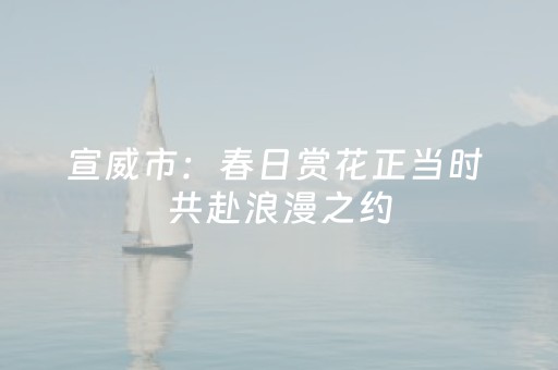 实测教程“乐乐安徽麻将有挂吗”（详细透视教程）-哔哩哔哩