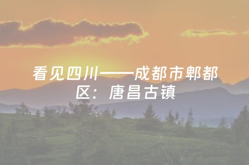 我来教大家“手机打牌必备神器（助赢神器通用版）