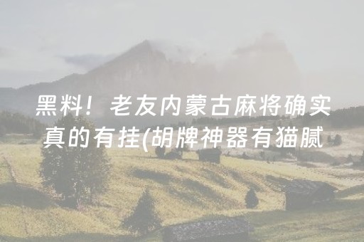 黑料！老友内蒙古麻将确实真的有挂(胡牌神器有猫腻吗)