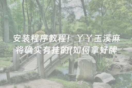 安装程序教程！丫丫玉溪麻将确实有挂的(如何拿好牌)