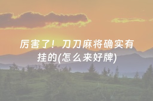 厉害了！刀刀麻将确实有挂的(怎么来好牌)