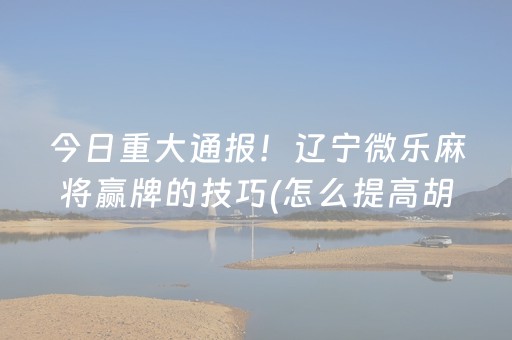 今日重大通报！辽宁微乐麻将赢牌的技巧(怎么提高胡牌率)