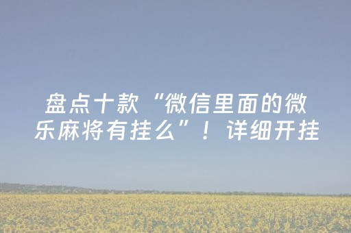 盘点十款“微信里面的微乐麻将有挂么”！详细开挂教程（确实真的有挂)-抖音