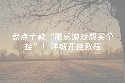 盘点十款“微乐游戏想买个挂”！详细开挂教程（确实真的有挂)-抖音