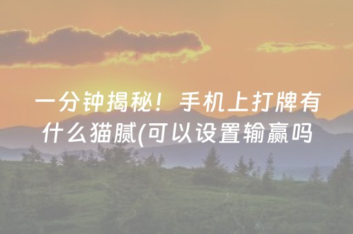 实测结果“微乐天津麻将赢牌技巧”（详细透视教程）-哔哩哔哩